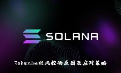 Tokenim被风控的原因及应对